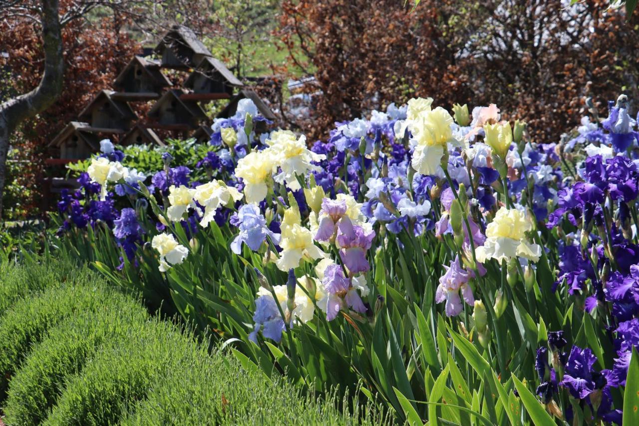 Hurunui Homestead Bed And Breakfast Hawarden Esterno foto